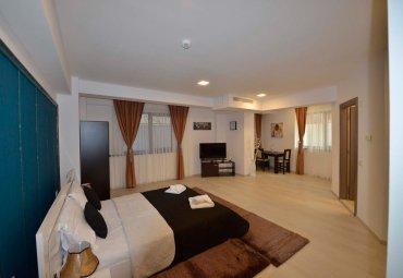 Garsoniera spatioasa in vila renovata, mobilata si utilata, Gradina Icoanei